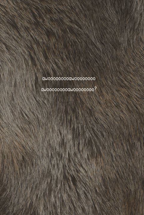 Back cover of AWOO