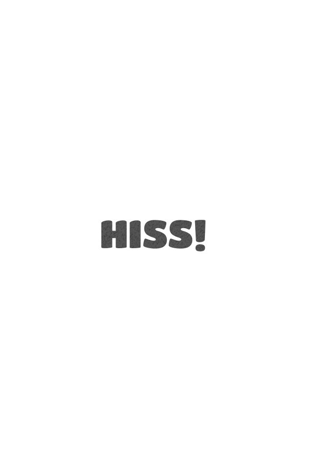 HISS notebook inside: The last page