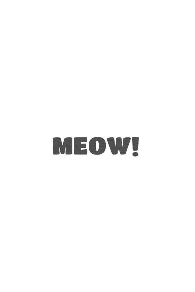 MEOW notebook inside: The last page